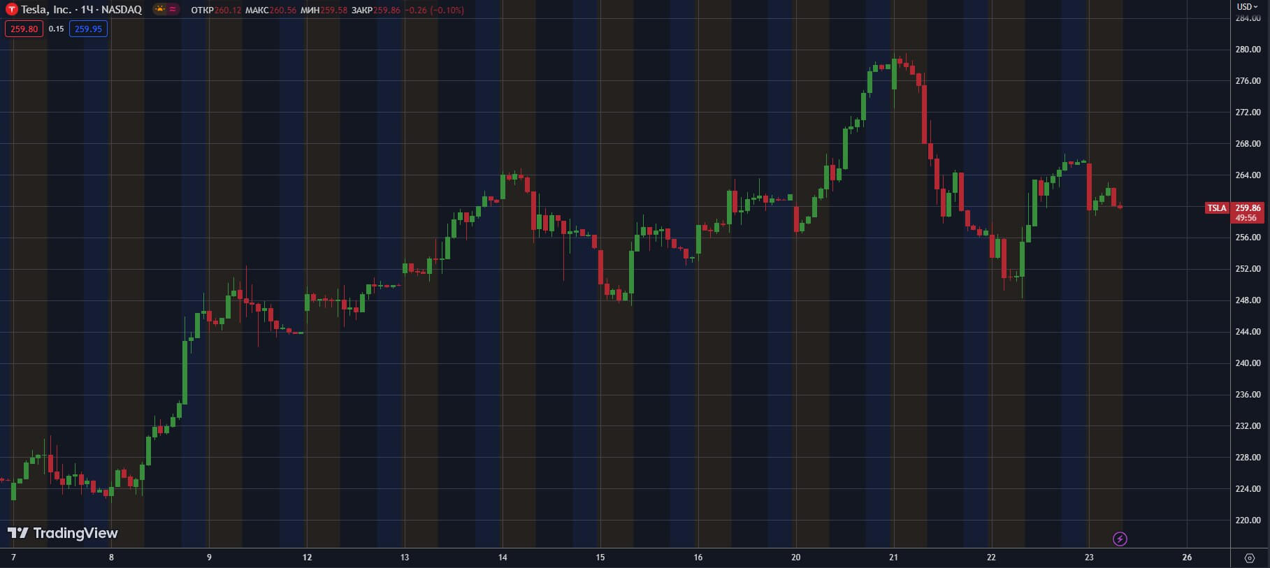 TSLA-H1