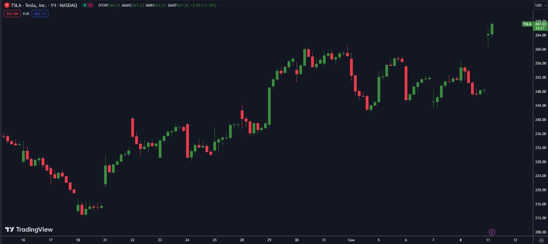 TSLA-H1